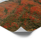 ノースカロライナ州のホークスビル秋の山 ポスター (角)