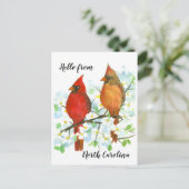 ノースカロライナ州の深紅色 ポストカード (スタンド正面)