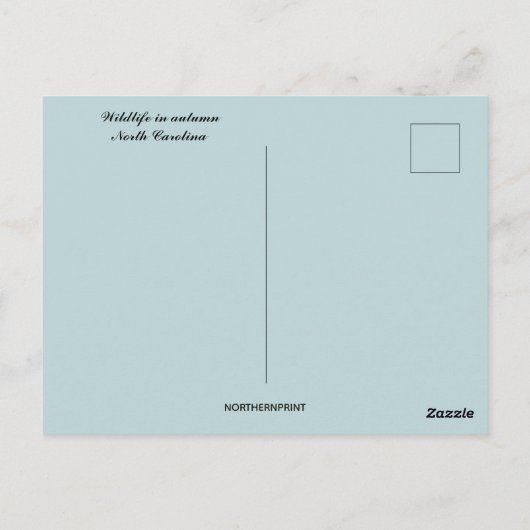 ノースカロライナ州の秋の野生生物 ポストカード (裏面)