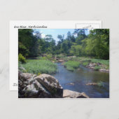 ノースカロライナ州エノ川 ポストカード (正面/裏面)