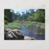 ノースカロライナ州エノ川 ポストカード (正面)