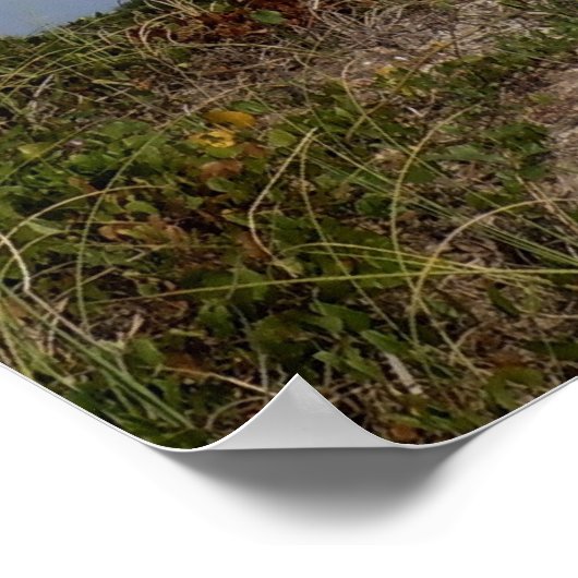 ノースカロライナ州オークアイランドライトハウス ポスター (角)