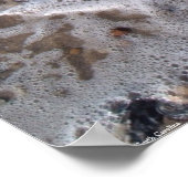 ノースカロライナ州オーク島 – 砂と貝殻 ポスター (角)