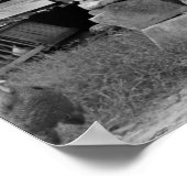 ノースカロライナ州ゴードントン: 1939 ポスター (角)