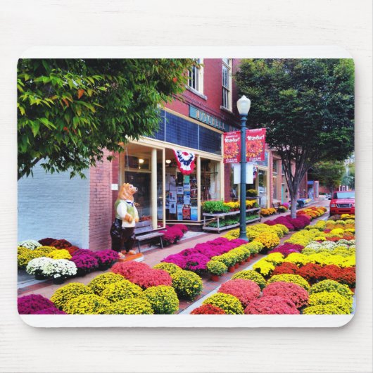 ノースカロライナ州ニューベルン マウスパッド (正面)