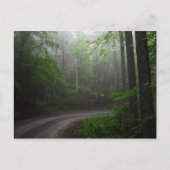 ノースカロライナ州ピスガ国立森林局 ポストカード (正面)