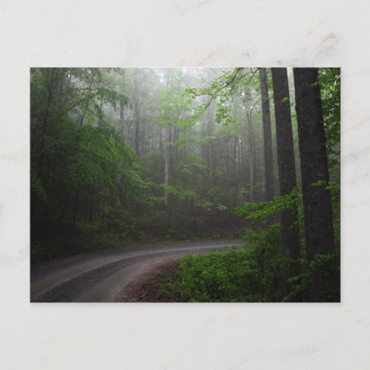 ノースカロライナ州ピスガ国立森林局 ポストカード (正面)