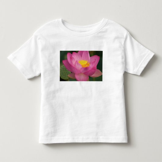 ノースカロライナ州フランクリン ペリーの水の庭園 ロータス2 トドラーTシャツ (正面)