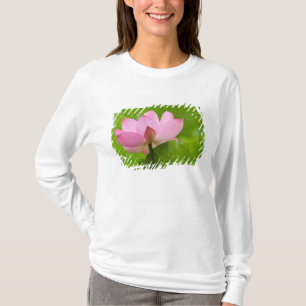 ノースカロライナ州フランクリン ペリーの水生植物園 ハス Tシャツ