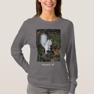 ノースカロライナ州ブレバード Tシャツ