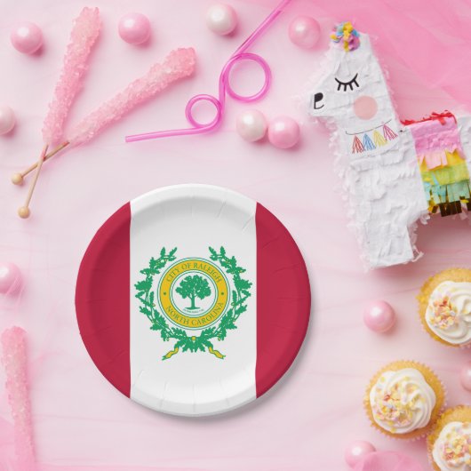 ノースカロライナ州ローリー州旗の紙プレート ペーパープレート (パーティー)