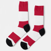 ノースカロライナ州旗を持つ女性用靴下 ソックス (左)