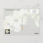 ノースカロライナ州花：ハナミズキ ポストカード (裏面)