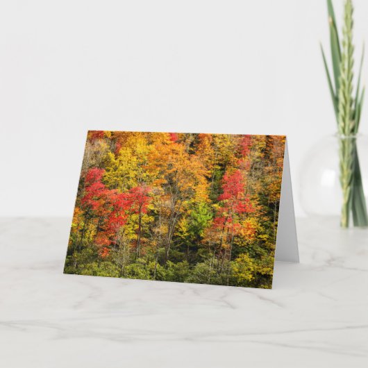 ノースカロライナ州、ブルーリッジのシムズポンドでの秋 カード (正面)