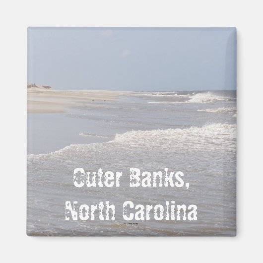 ノースカロライナ州，外銀 マグネット (正面)