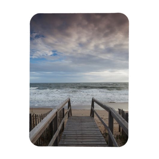 ノースカロライナ州、外銀National Seasha 1 マグネット (縦)