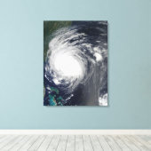 ノースカロライナ沿岸のハリケーン・アールの放牧 キャンバスプリント (インサイチュ (ウッドフロア))