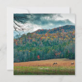 ノースカロライナ風光明媚な草原(ラベル付き) カード (正面)