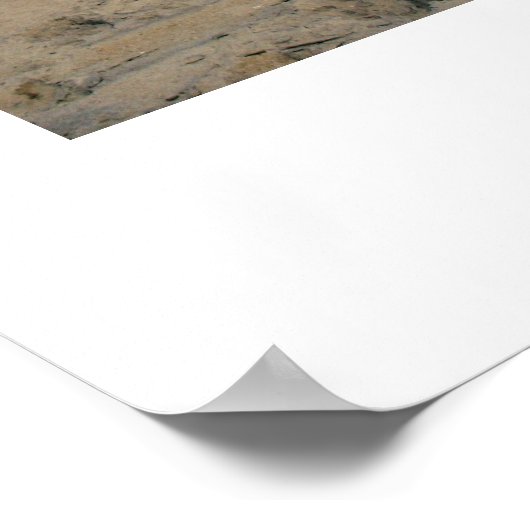 ノースカロライナ ポスター (角)