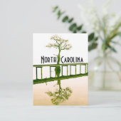 ノースカロライナ ポストカード (スタンド正面)