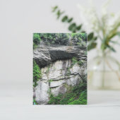 ノースカロライナ ポストカード (スタンド正面)