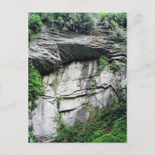 ノースカロライナ ポストカード (正面)