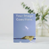 ノースカロライナ ポストカード (スタンド正面)