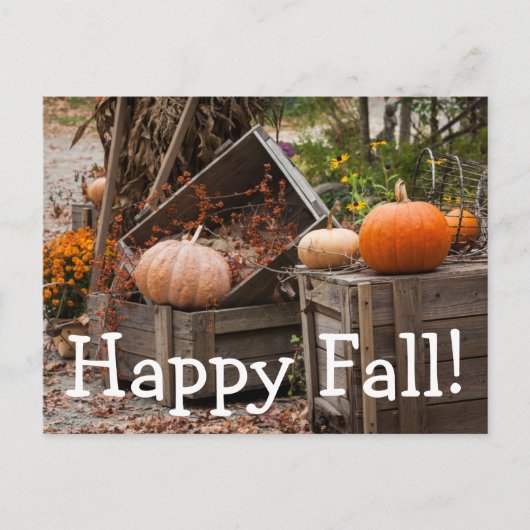 ノースカロライナ、リンビル、秋のカボチャ ポストカード (正面)