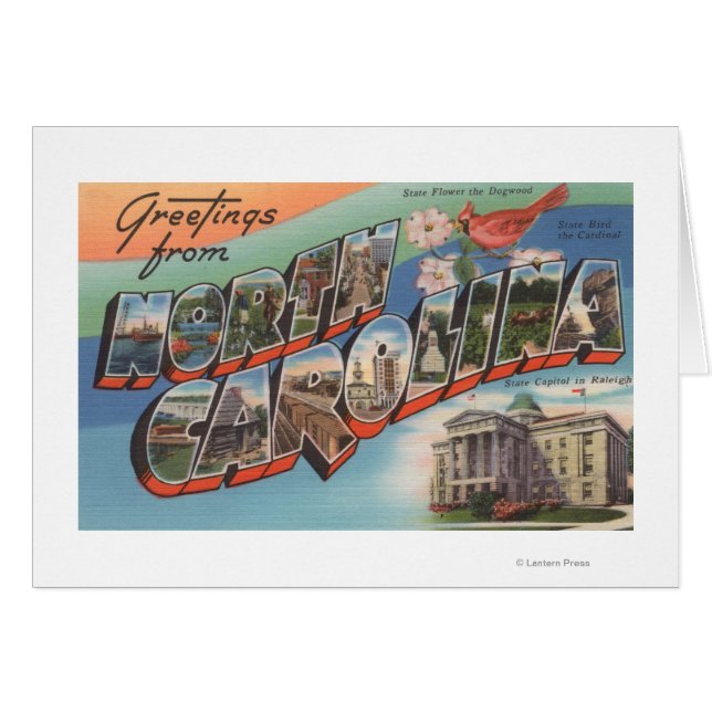 ノースカロライナ(州花/鳥) (正面横)