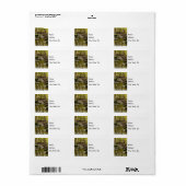 ノースカーズクリーク住所 シール (フルシート)