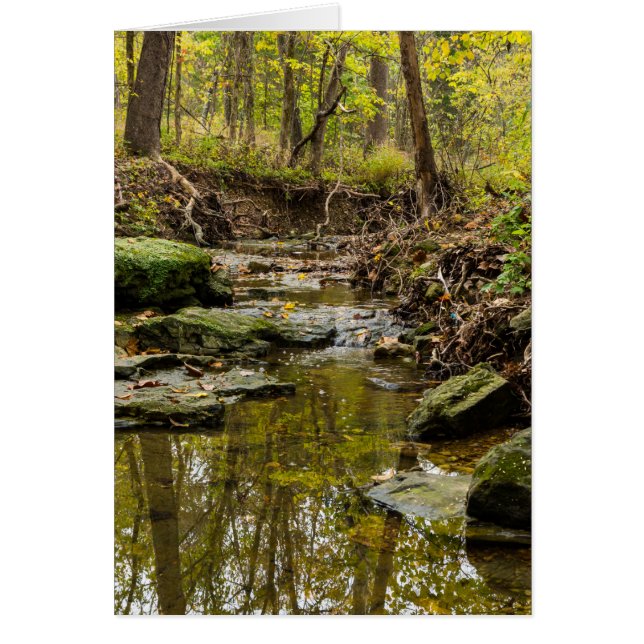 ノースカーズクリーク (正面)