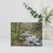 ノースシャモレクリーク ポストカード (スタンド正面)