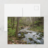 ノースシャモレクリーク ポストカード (正面/裏面)