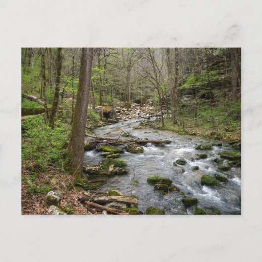 ノースシャモレクリーク ポストカード (正面)