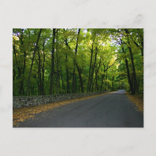 ノースショアドライブ ポストカード (正面)