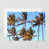 ノースショアパームズ ポストカード (正面/裏面)
