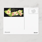 ノースショア5 ポストカード (裏面)