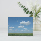 ノースダコタのトウモロコシ畑 ポストカード (スタンド正面)