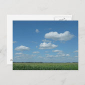 ノースダコタのトウモロコシ畑 ポストカード (正面/裏面)