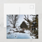 ノースダコタの冬の吹雪 ポストカード (正面/裏面)