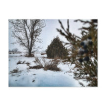 ノースダコタの冬の吹雪