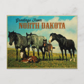 ノースダコタノコタホース ポストカード (正面)