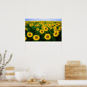 ノースダコタ州ファーゴに咲くひまわり ポスター (キッチン)