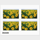 ノースダコタ州ファーゴに咲くひまわり 長方形シール (シート)