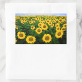 ノースダコタ州ファーゴに咲くひまわり 長方形シール (バッグ)