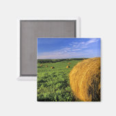 ノースダコタ州ボトティナウ近郊のヘイバレス マグネット (正面/裏面)