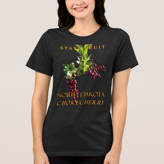 ノースダコタ準州の果物チョークチェリー トライブレンドTシャツ (正面)
