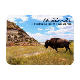 ノースダコタ磁石のバッドランド マグネット