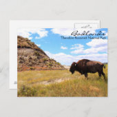 ノースダコタ葉書のバッドランド ポストカード (正面/裏面)