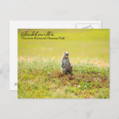 ノースダコタ葉書のバッドランド ポストカード (正面/裏面)